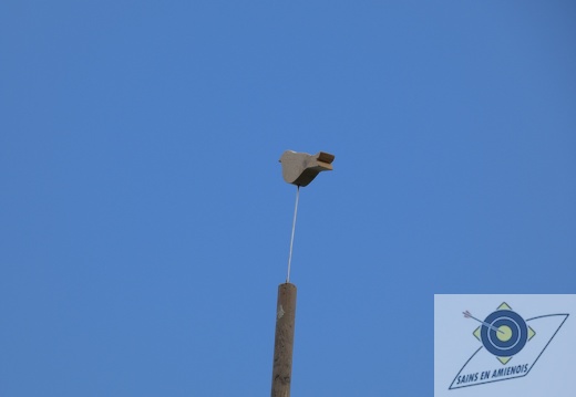 P1000247