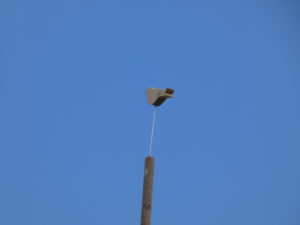 P1000247