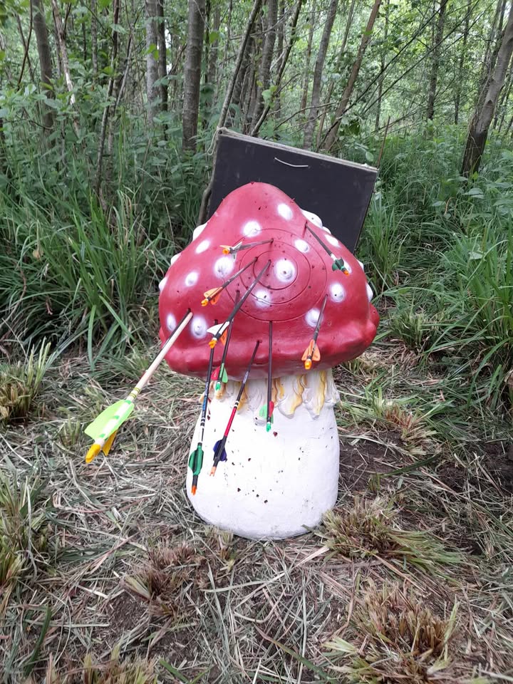 A large, whimsical mushroom target is set in a grassy area surrounded by trees. The mushroom has a bright red cap with white spots and a white stem. Several arrows are embedded in the mushroom, indicating it is used for archery practice. A black backing board is positioned behind the mushroom, likely to catch stray arrows. The scene is lush and green, with various plants and grass surrounding the target.